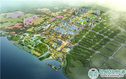 02-斗南花卉小镇鸟瞰图2