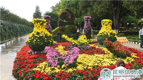 菊花造景。昆明日报记者杨艳辉摄