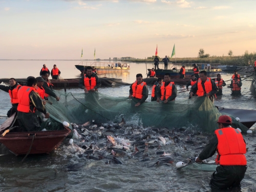 1537984587677_612_1024x768 1537984587677_612_1024x768