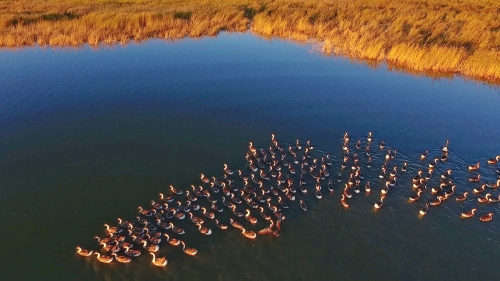 1537984761382_155_1920x1080 1537984761382_155_1920x1080