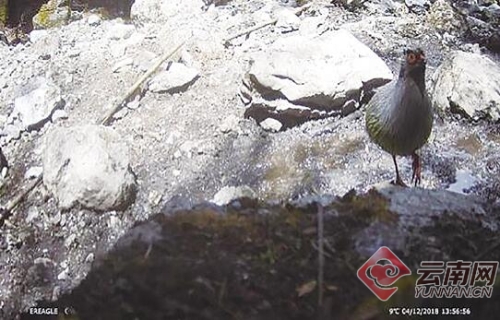 00300127215_52f8d3f4