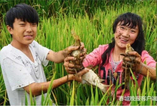 20180928080248VAG63T 20180928080248VAG63T