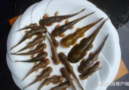 20180928080246LGJOL9 20180928080246LGJOL9