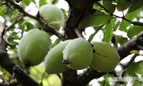 20180928080245KL8K34 20180928080245KL8K34