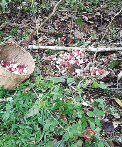 00300127211_be02b4b6