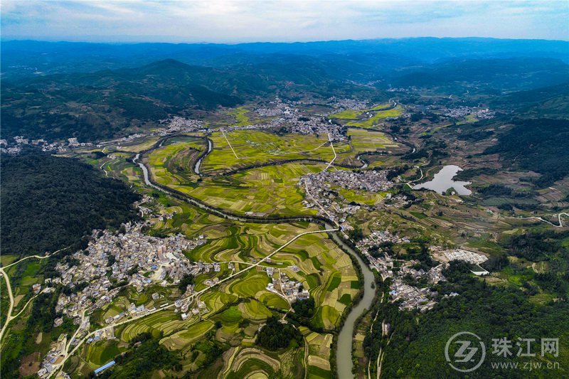 师宗龙甸坝子秋收忙_昆明信息港