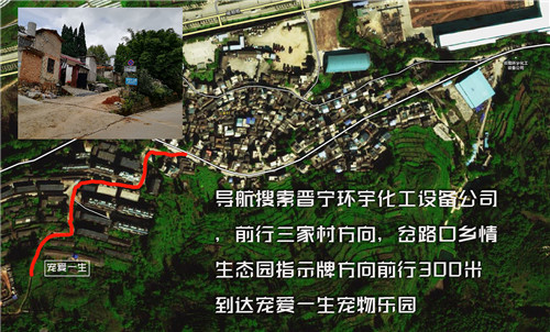 昆明宠物寄养店排行榜_价格上调20%!昆明春节宠物寄养一“床”难求(2)