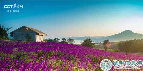 微信图片_20180930173303