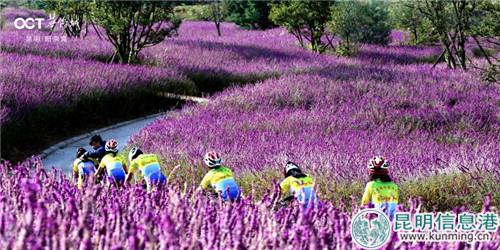 微信图片_20180930173315