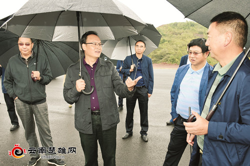 把楚雄市打造成全省最具特色的现代化工业园区