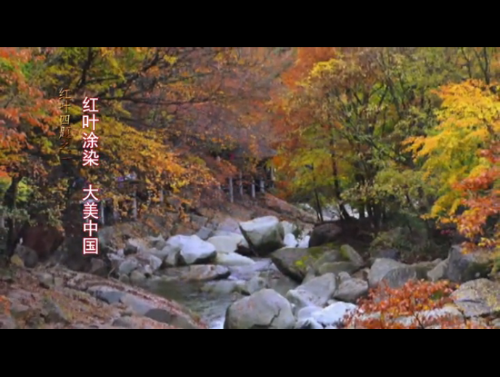 QQ截图20181011093539