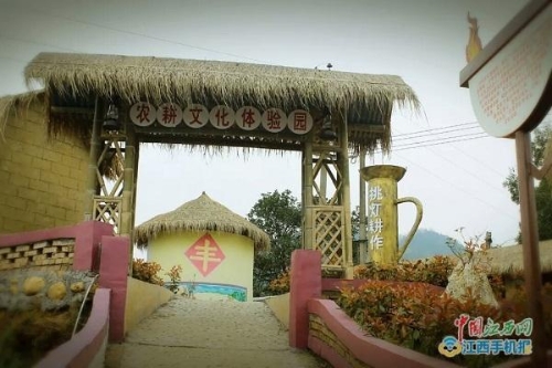 江西萍乡: 金领回乡当村官 穷山沟变身绿富