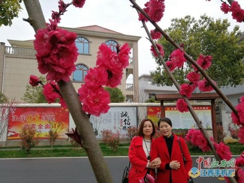 江西萍乡: 金领回乡当村官 穷山沟变身绿富