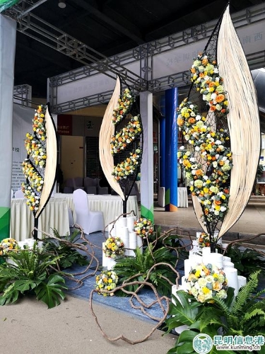 农业博览会斗南分会场9 农业博览会斗南分会场9