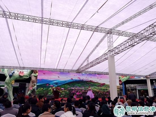 农业博览会斗南分会场1 农业博览会斗南分会场1