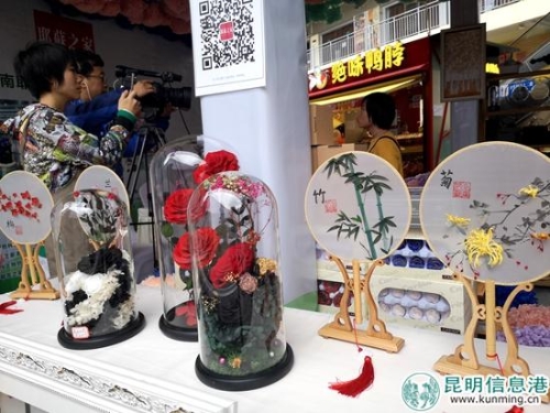 农业博览会斗南分会场7 农业博览会斗南分会场7