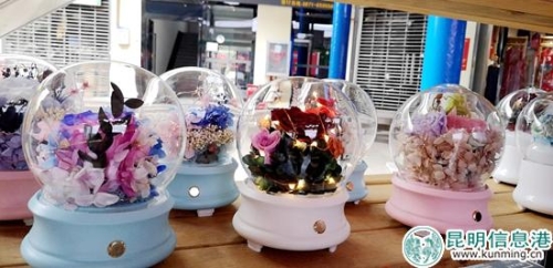 农业博览会斗南分会场8 农业博览会斗南分会场8