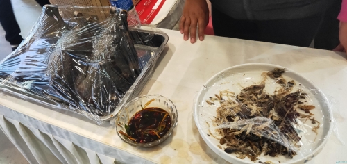 供观展市民品尝的柴氏手撕鸡