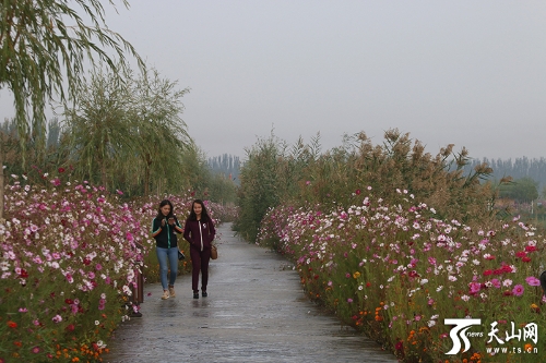 00350520965_91ca8f22 00350520965_91ca8f22