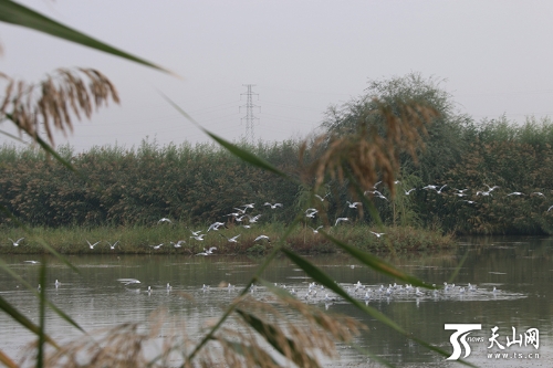 00350520966_057658b9 00350520966_057658b9