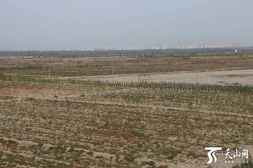 00350520969_1ae036e7 00350520969_1ae036e7