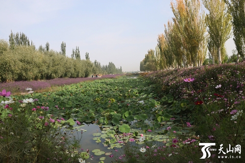 00350520970_141abadf 00350520970_141abadf