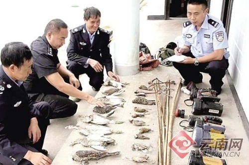 00300148938_9d69329a 00300148938_9d69329a