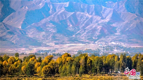 f44d30758a2f1d2e3ce044