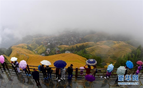 广西胜各族龙脊梯田