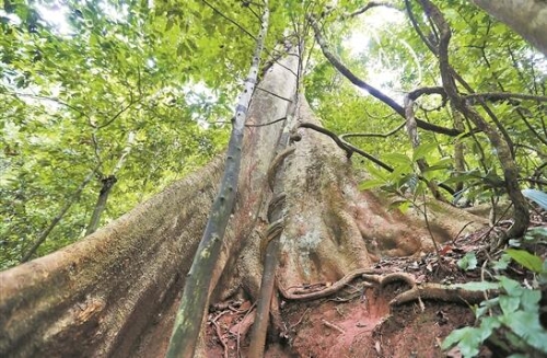 QQ截图20181018083250 QQ截图20181018083250