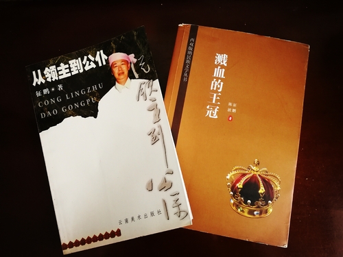 傣族小说家征鹏的作品 傣族小说家征鹏的作品