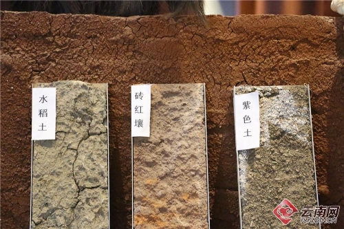 00300156132_b995e60a