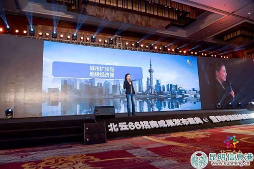 中国财经评论家叶檀 中国财经评论家叶檀