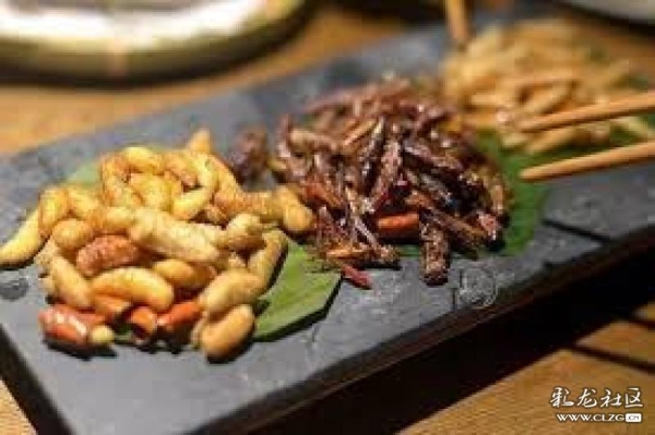 6ee452614cce4a8b904e75c006e07af9 6ee452614cce4a8b904e75c006e07af9