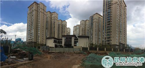 绿地·香树花城小区正门口道路被挖开 部分土地裸露