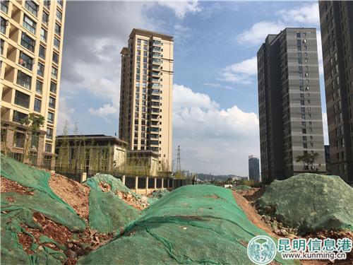 挖开的道路用绿网盖住