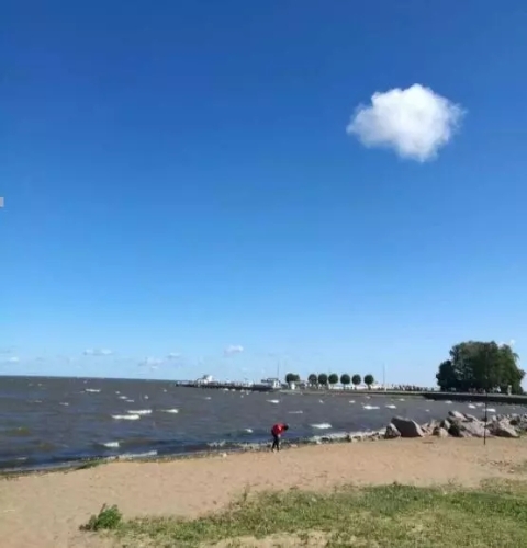 640.webp (6) 640.webp (6)