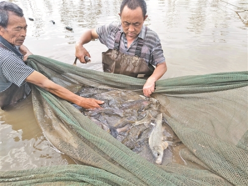 2018102511_res11_attpic_brief