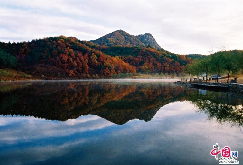 46c576c7-36d9-4823-991a-24d9cc39d686_batchwm 46c576c7-36d9-4823-991a-24d9cc39d686_batchwm