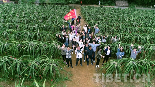 W020181025388336842022 W020181025388336842022