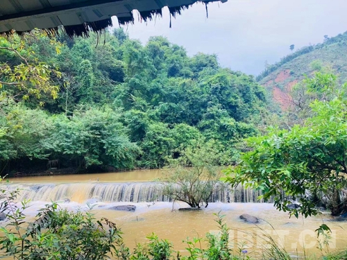 W020181025388336840786 W020181025388336840786