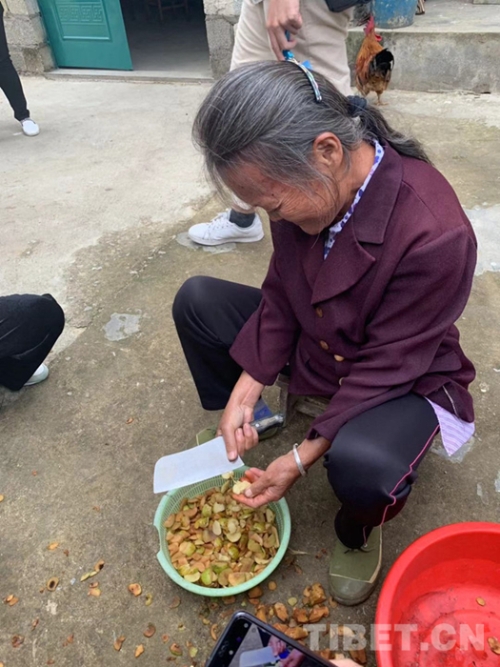 W020181025388336843467 W020181025388336843467