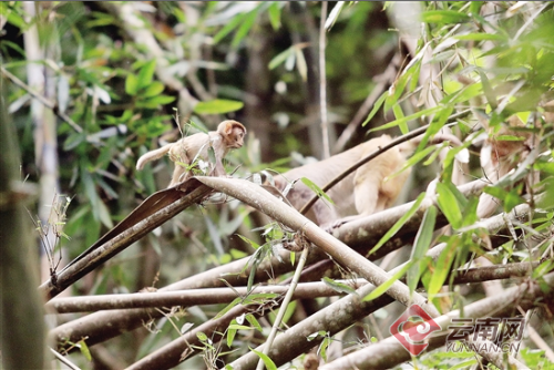 00300162441_a36bf406