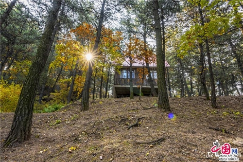 0bbb820e-d1e0-48cf-aca7-69e28c9e0a95_batchwm 0bbb820e-d1e0-48cf-aca7-69e28c9e0a95_batchwm