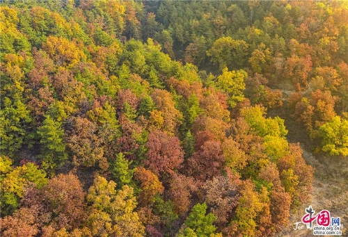 0a16ff28-0307-4c0f-b49d-2b8af13b4b5c_batchwm 0a16ff28-0307-4c0f-b49d-2b8af13b4b5c_batchwm