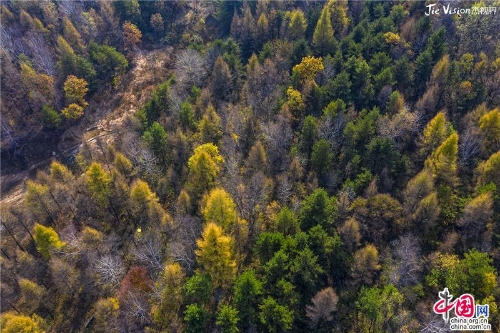 160c6181-e4a9-4942-83bf-c1f507d5d9fc_batchwm 160c6181-e4a9-4942-83bf-c1f507d5d9fc_batchwm