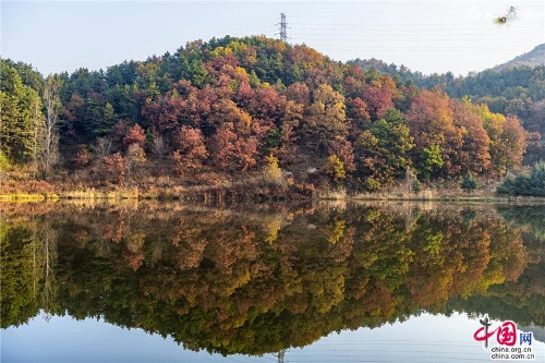 89a280c8-c913-4490-a158-1241d2541846_batchwm 89a280c8-c913-4490-a158-1241d2541846_batchwm