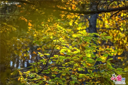 921d2863-988c-4c6e-92d4-0ac293ec3b78_batchwm 921d2863-988c-4c6e-92d4-0ac293ec3b78_batchwm