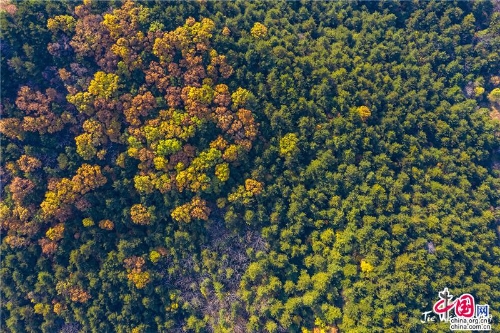 38a8c06c-b341-48f9-ab37-567c87300180_batchwm 38a8c06c-b341-48f9-ab37-567c87300180_batchwm