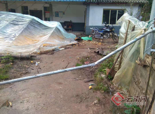 00300167799_9a2ff899